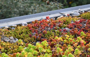 the cost of Welsford green roof installation