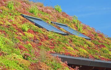Welsford living roof systems